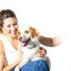 Spectrum Brands Pet Stain Odor Remover Citrus Scent Safe-9