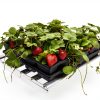 Palram Canopia Heavy Duty Shelf for Greenhouse Large Silver-6