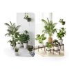 Plant Stands 5-Pack Heavy-Duty Metal Riser Black for Outdoor Garden-2