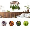 Pine Wood Herb Drying Rack ZHIYUEJING Wall Rack with Floral Tree-4